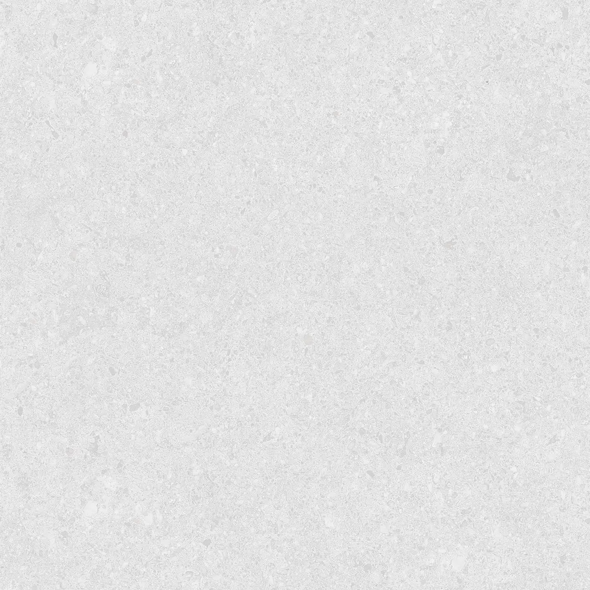  C50034