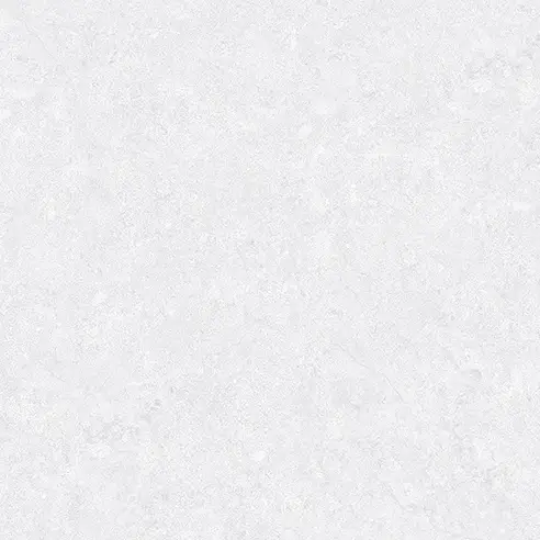  C50016