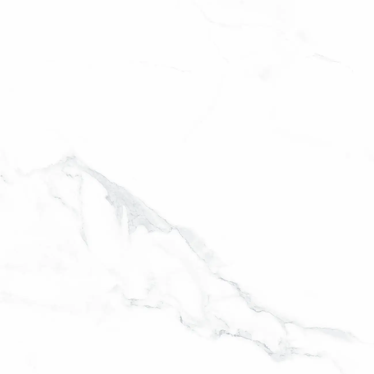 C60013
