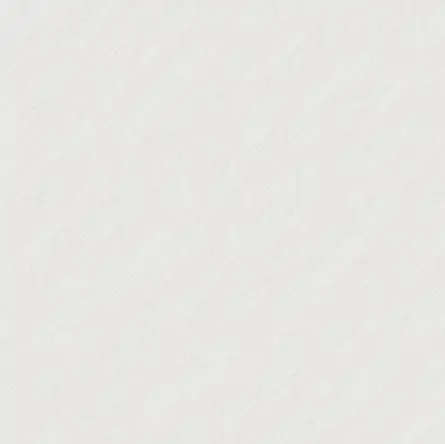 Fog - HMP66016T