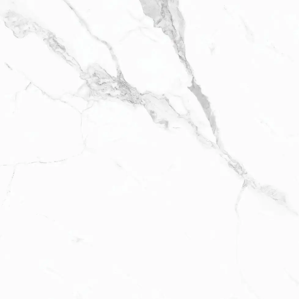 H60010P