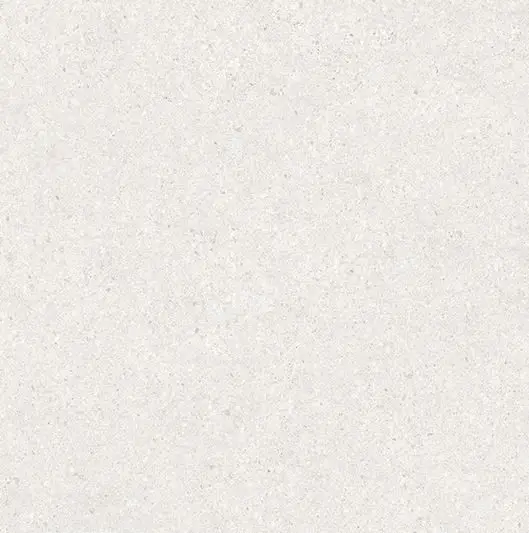 H60106