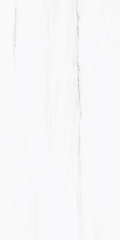 H62004P