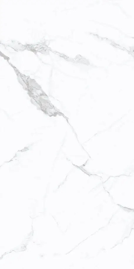 H62010P