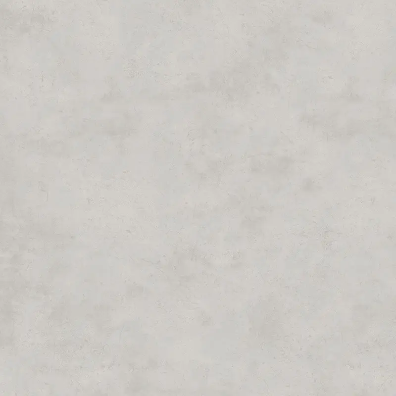 H66004