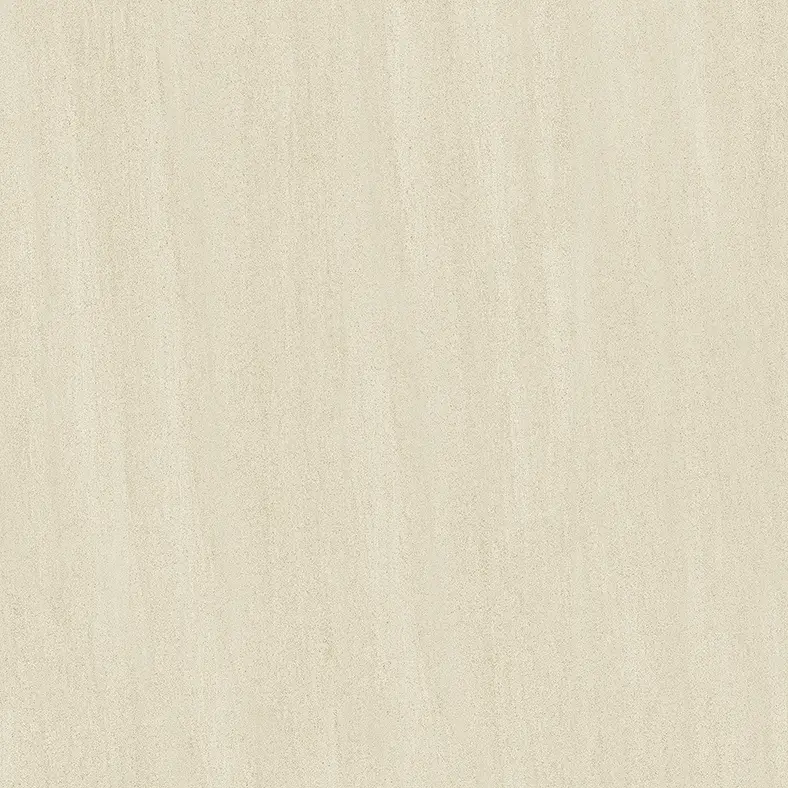 H66019