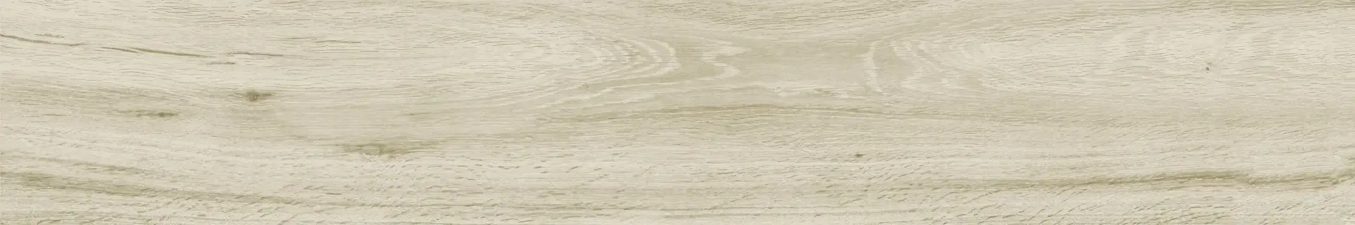H95010