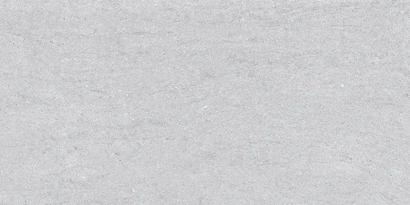 C63029