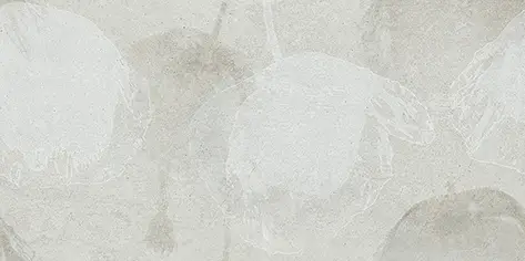 PN-7981-D