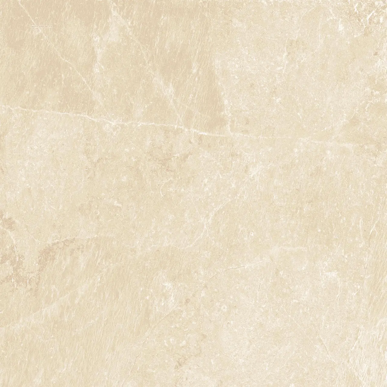 H60018P